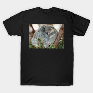 Koala Cuddles T-Shirt